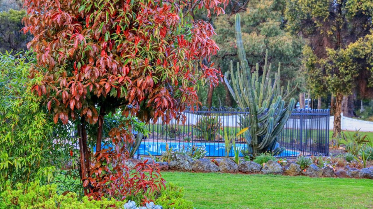 Azalea Motel Coonabarabran Luaran gambar