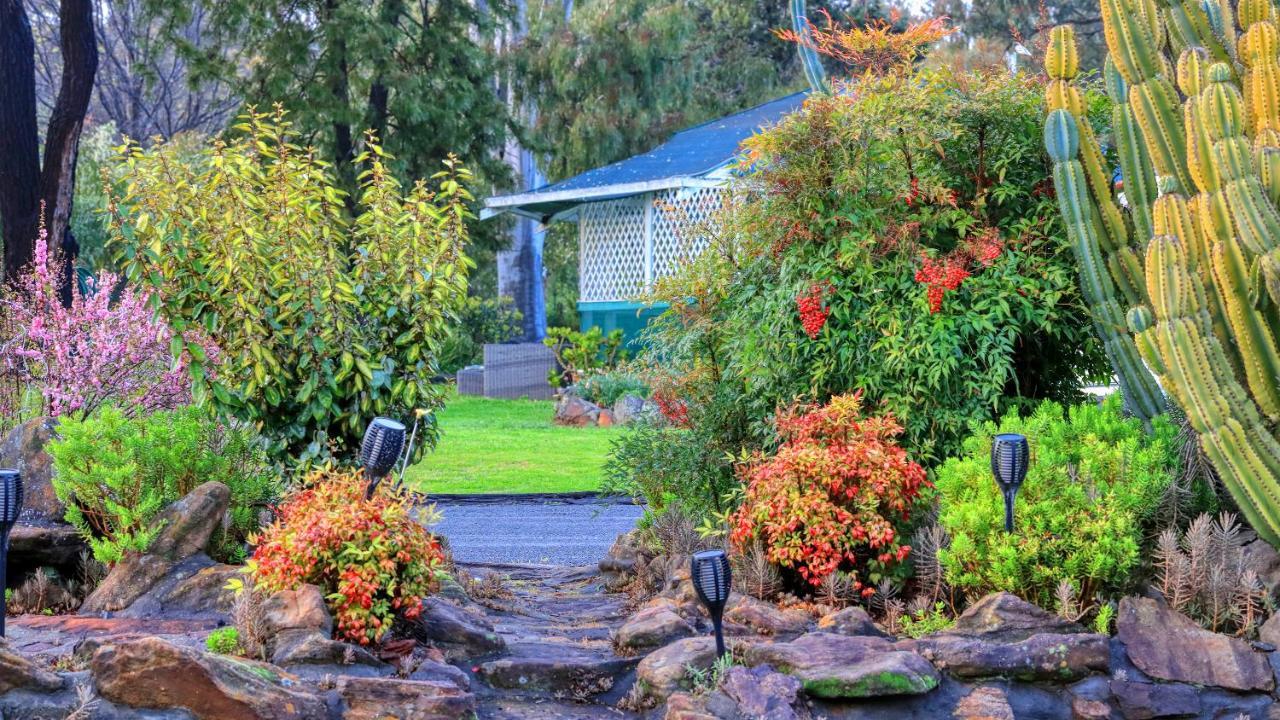 Azalea Motel Coonabarabran Luaran gambar
