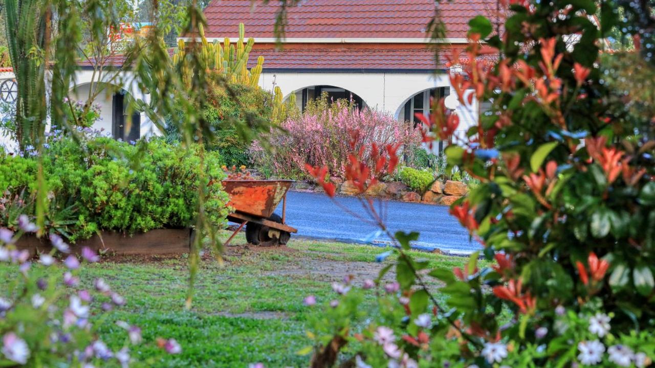 Azalea Motel Coonabarabran Luaran gambar