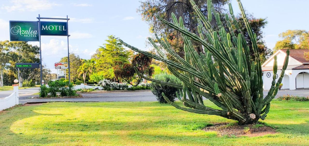 Azalea Motel Coonabarabran Luaran gambar