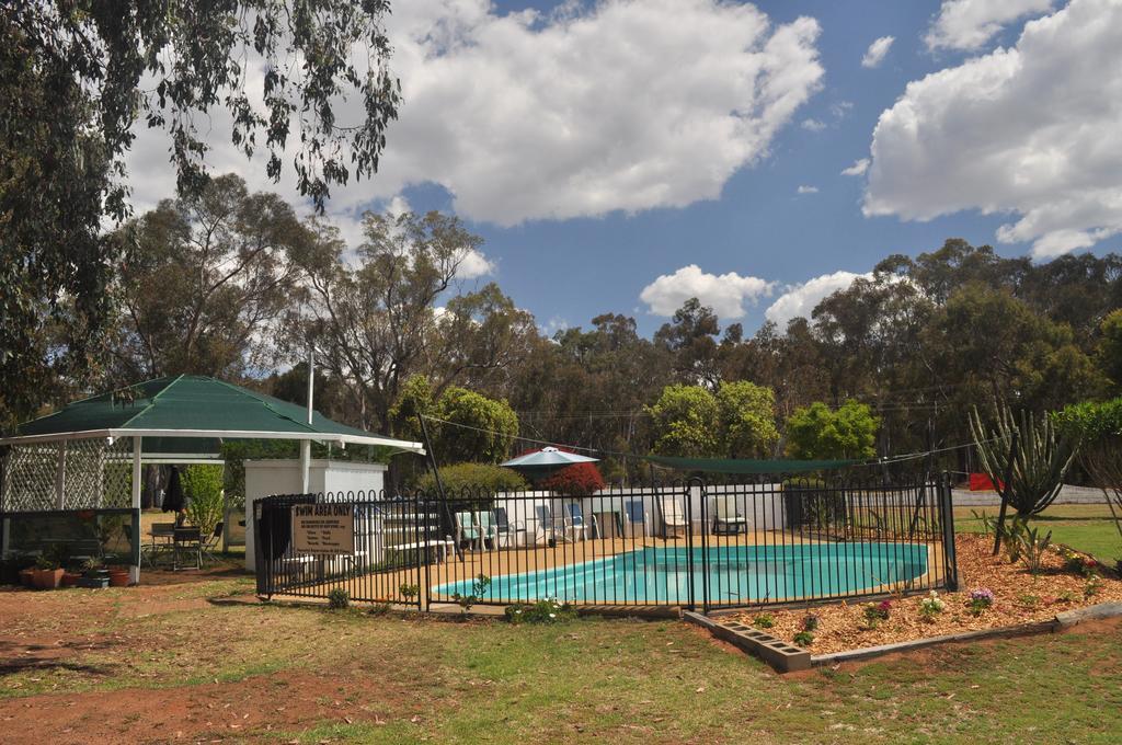 Azalea Motel Coonabarabran Luaran gambar