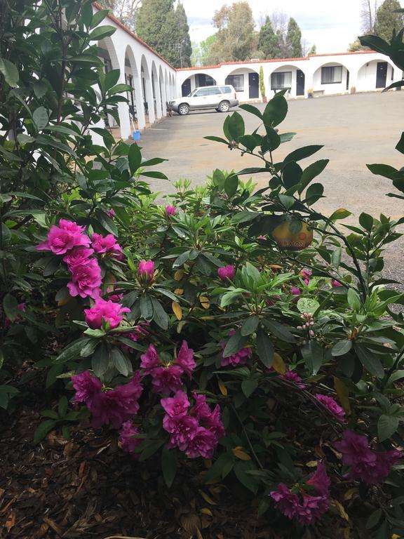 Azalea Motel Coonabarabran Luaran gambar