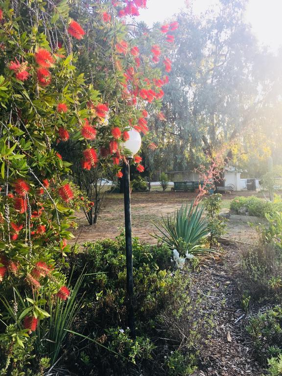 Azalea Motel Coonabarabran Luaran gambar